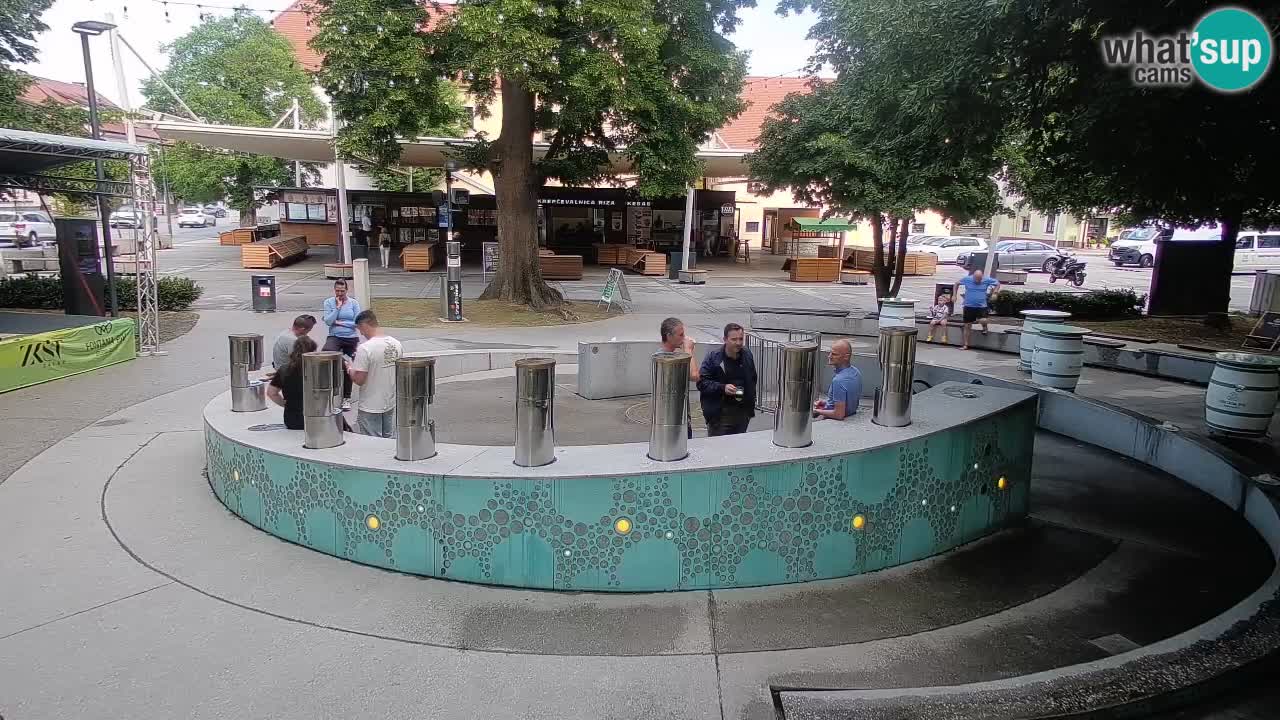 Web kamera Fontana piva – Zeleno zlato – Žalec