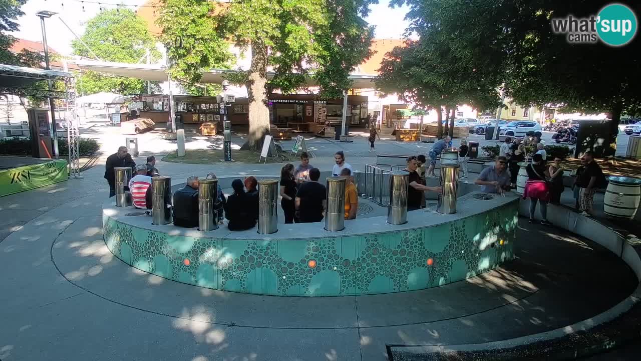 Camera en vivo Fuente de cerveza – Oro verde – Žalec