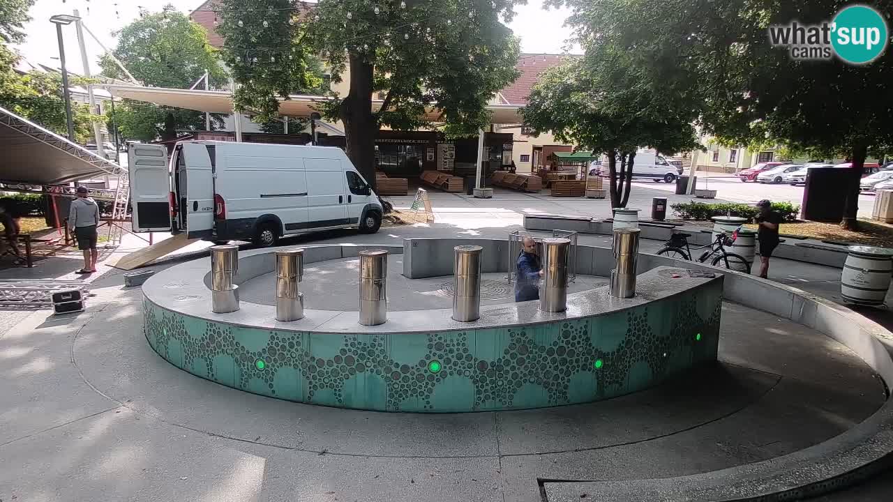 Web kamera Fontana piva – Zeleno zlato – Žalec