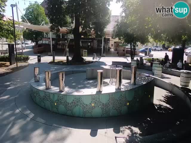 Fontaine à bière LIVE webcam – Or vert – Žalec