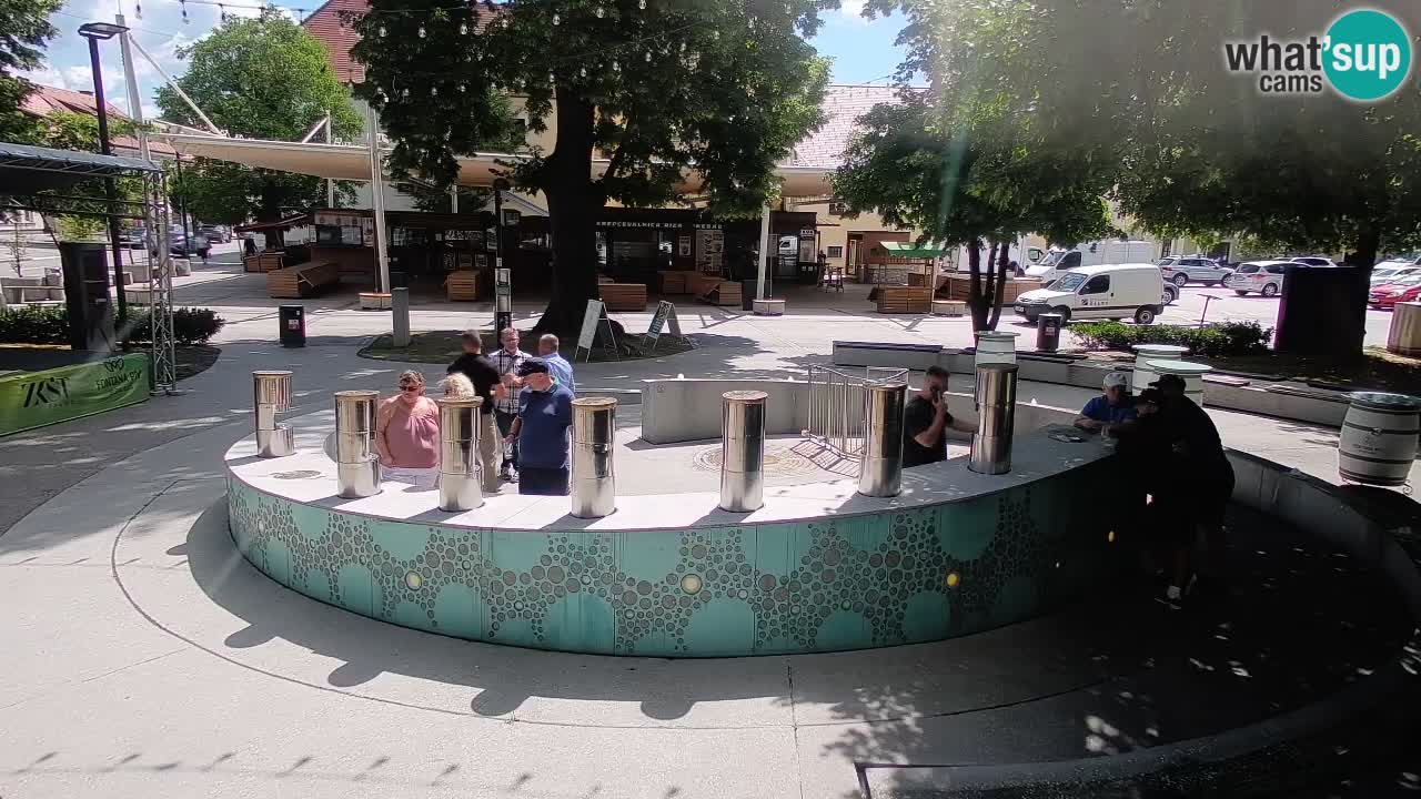 Fontana di birra Webcam – Oro verde – Žalec