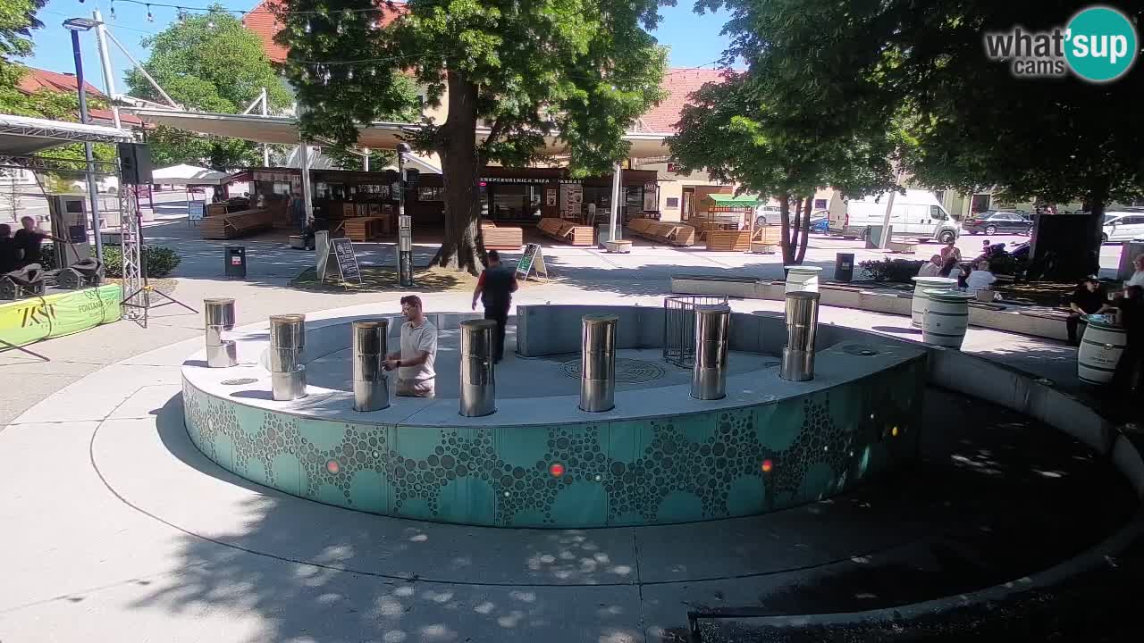 Spletna kamera Fontana Piv – Zeleno zlato Žalec