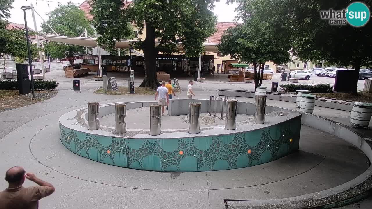 Bier-Springbrunnen Webcam Žalec – Grünen Goldes