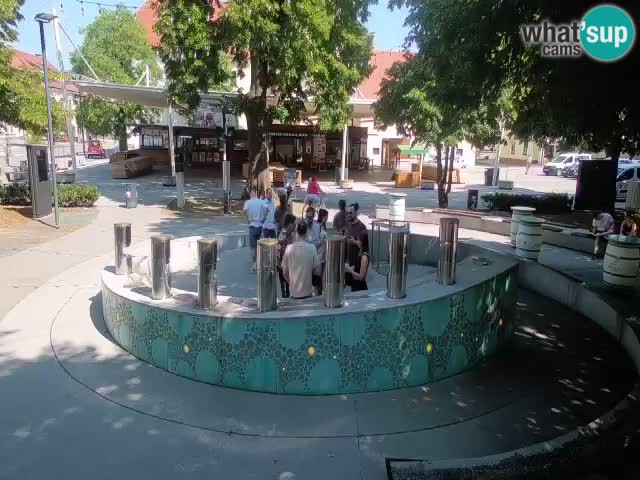 Fontana di birra Webcam – Oro verde – Žalec