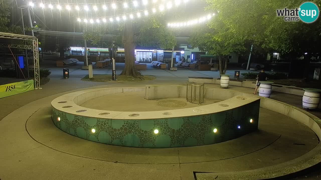 Fontana di birra Webcam – Oro verde – Žalec