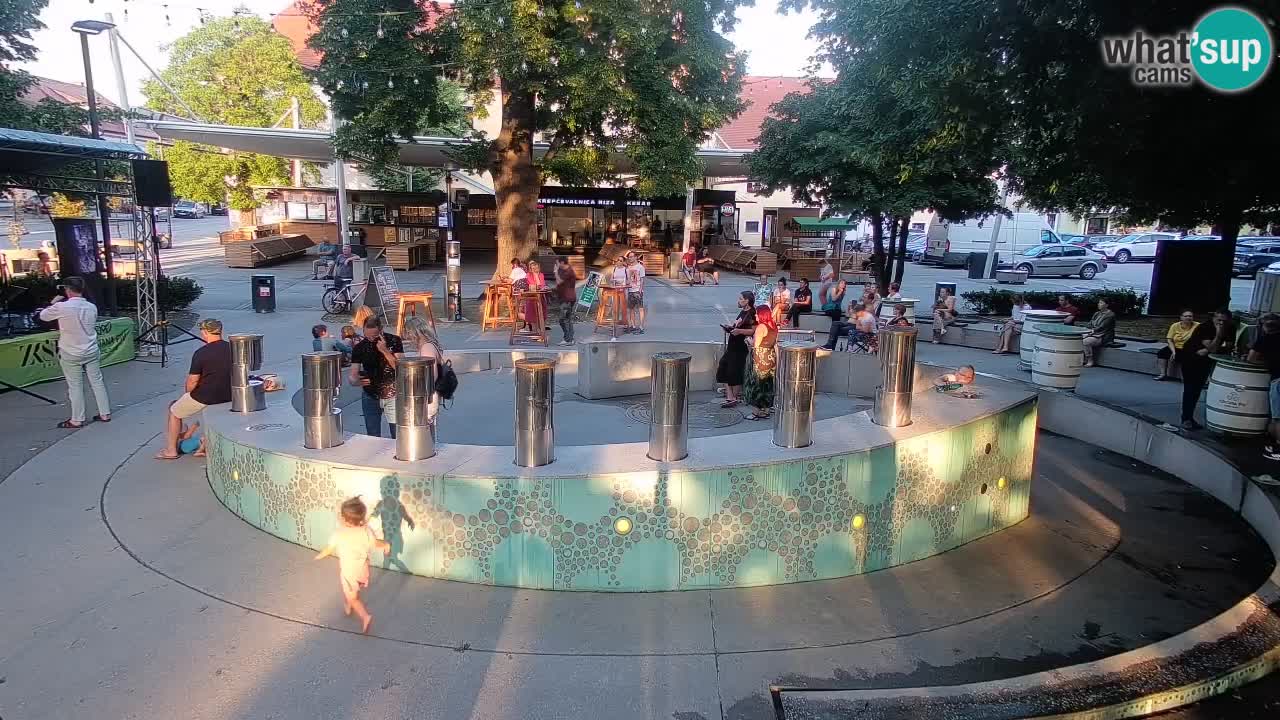 Bier-Springbrunnen Webcam Žalec – Grünen Goldes