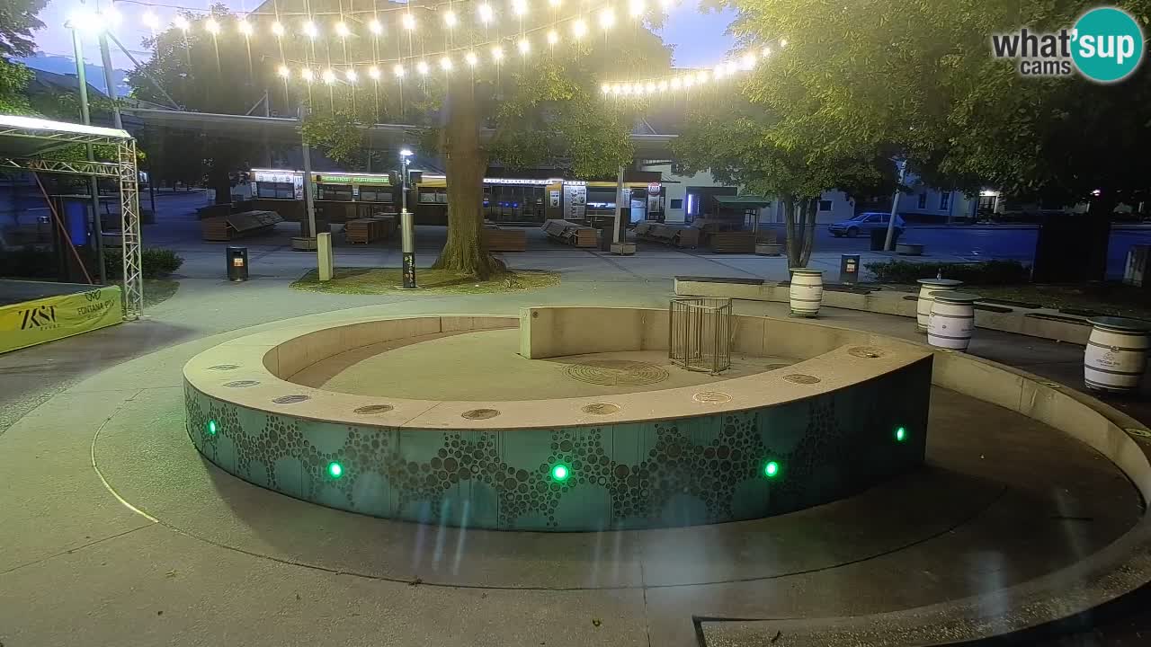 Fontaine à bière LIVE webcam – Or vert – Žalec
