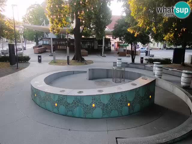 Fontana di birra Webcam – Oro verde – Žalec
