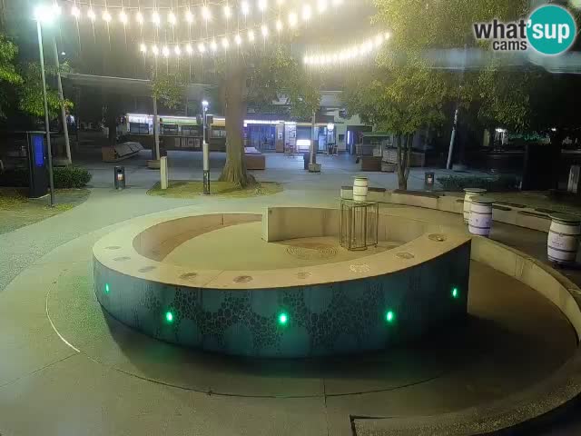 Fontana di birra Webcam – Oro verde – Žalec