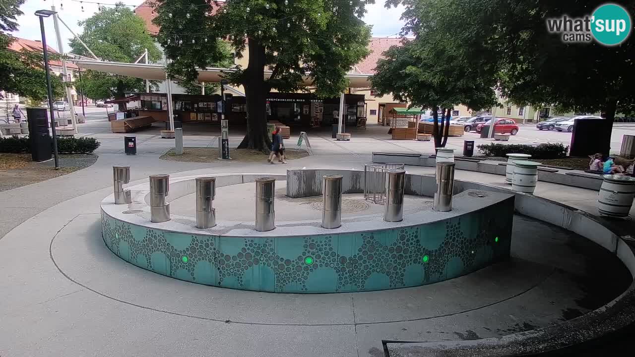 Web kamera Fontana piva – Zeleno zlato – Žalec