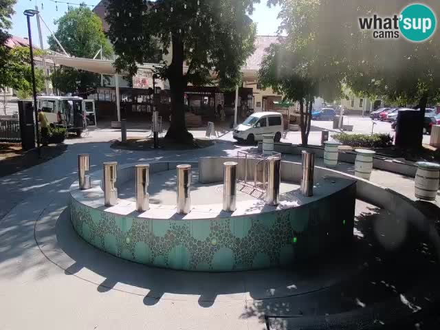 Fontana di birra Webcam – Oro verde – Žalec