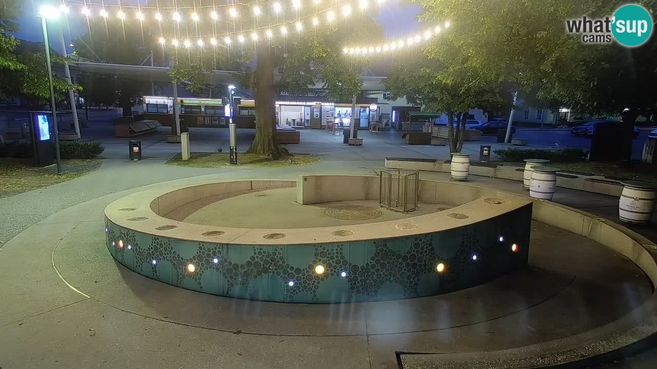 Camera en vivo Fuente de cerveza – Oro verde – Žalec