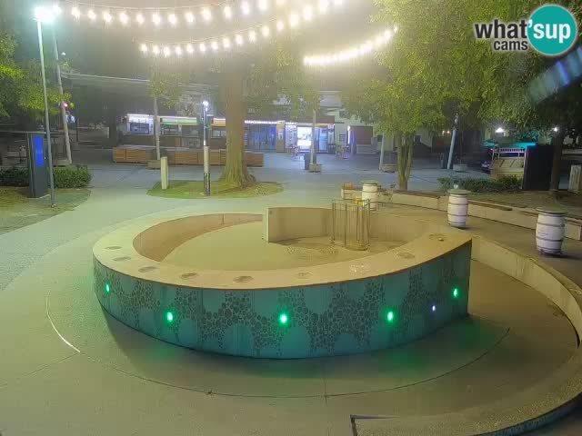 Fontana di birra Webcam – Oro verde – Žalec