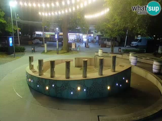 Bier-Springbrunnen Webcam Žalec – Grünen Goldes