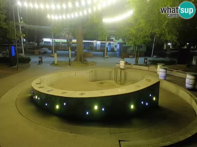 Fontaine à bière LIVE webcam – Or vert – Žalec