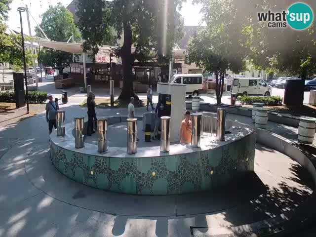 Bier-Springbrunnen Webcam Žalec – Grünen Goldes