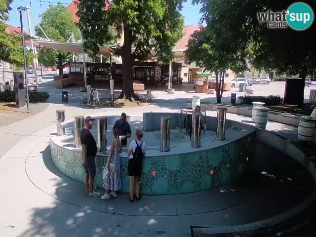 Camera en vivo Fuente de cerveza – Oro verde – Žalec