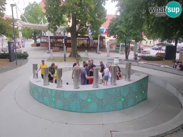 Web kamera Fontana piva – Zeleno zlato – Žalec