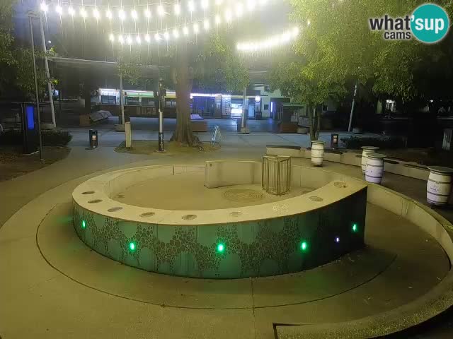 Bier-Springbrunnen Webcam Žalec – Grünen Goldes