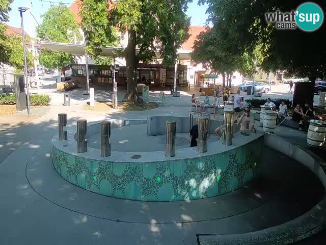 Camera en vivo Fuente de cerveza – Oro verde – Žalec