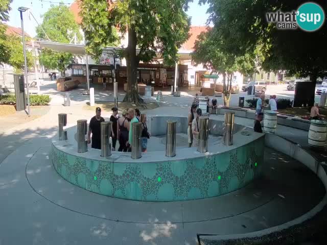 Fontaine à bière LIVE webcam – Or vert – Žalec
