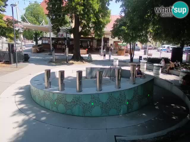 Fontaine à bière LIVE webcam – Or vert – Žalec