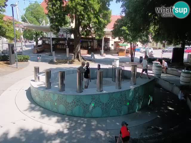 Fontaine à bière LIVE webcam – Or vert – Žalec