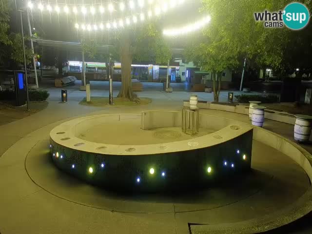 Camera en vivo Fuente de cerveza – Oro verde – Žalec