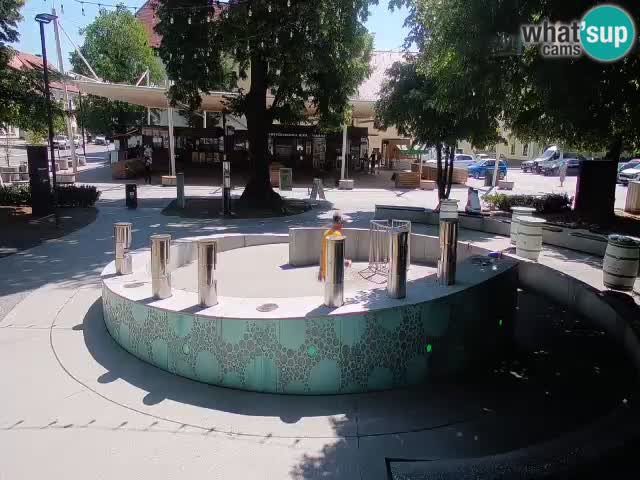 Fontaine à bière LIVE webcam – Or vert – Žalec