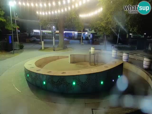 Camera en vivo Fuente de cerveza – Oro verde – Žalec