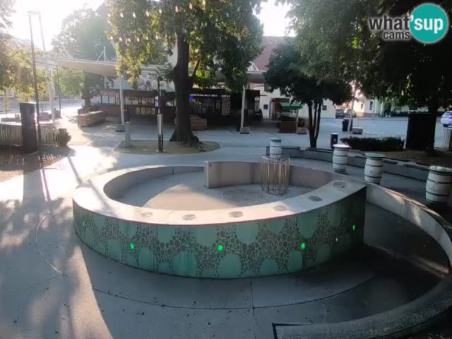 Camera en vivo Fuente de cerveza – Oro verde – Žalec