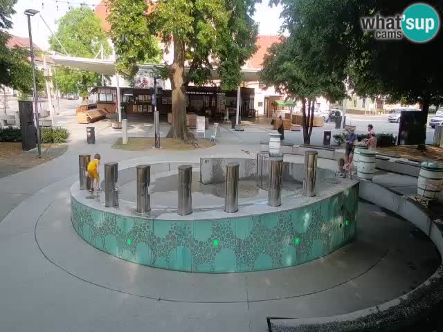 Fontaine à bière LIVE webcam – Or vert – Žalec