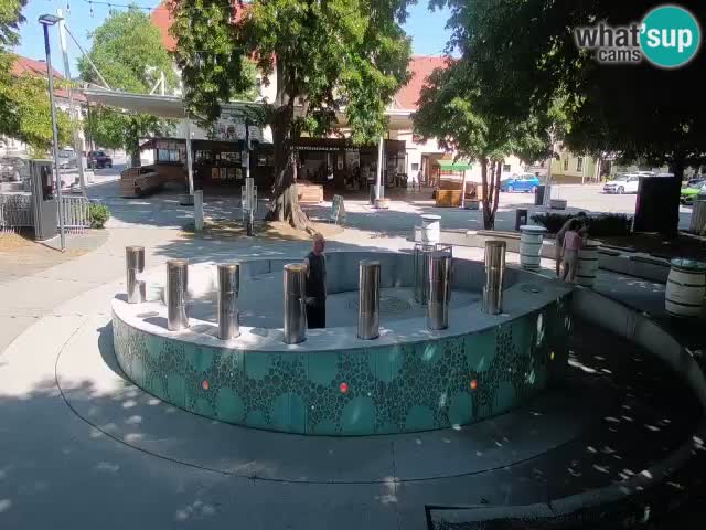 Camera en vivo Fuente de cerveza – Oro verde – Žalec