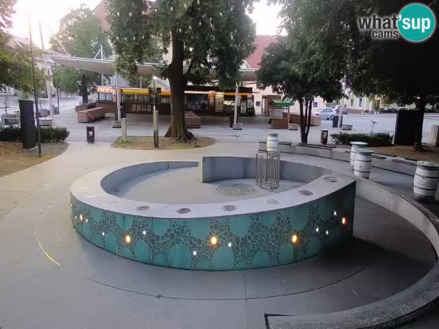 Fontaine à bière LIVE webcam – Or vert – Žalec