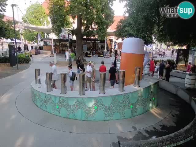 Fontaine à bière LIVE webcam – Or vert – Žalec