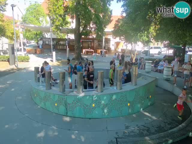 Fontana di birra Webcam – Oro verde – Žalec
