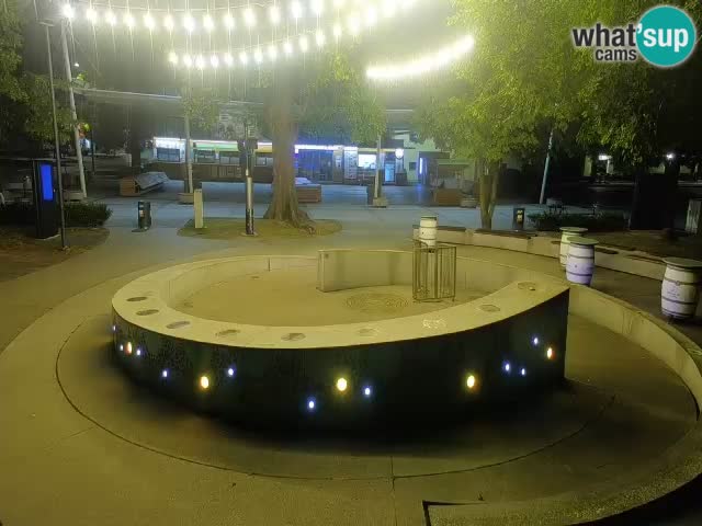 Fontaine à bière LIVE webcam – Or vert – Žalec