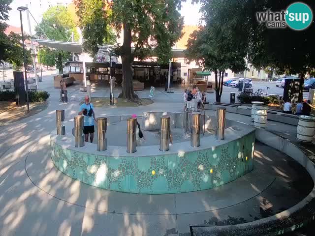 Bier-Springbrunnen Webcam Žalec – Grünen Goldes