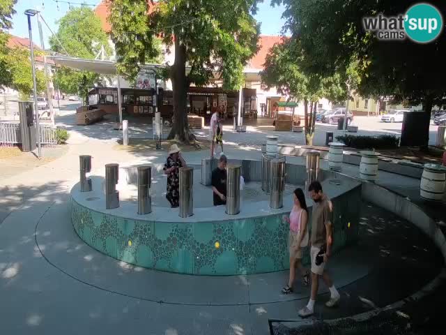 Web kamera Fontana piva – Zeleno zlato – Žalec