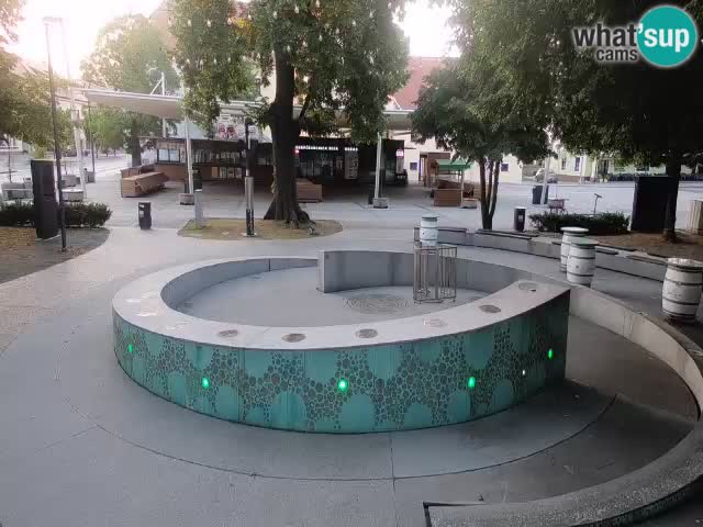 Spletna kamera Fontana Piv – Zeleno zlato Žalec