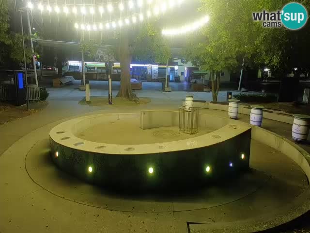 Camera en vivo Fuente de cerveza – Oro verde – Žalec