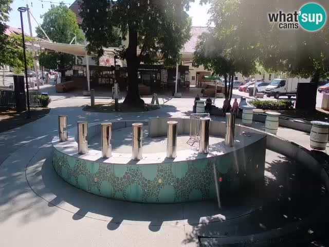 Web kamera Fontana piva – Zeleno zlato – Žalec