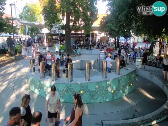 Web kamera Fontana piva – Zeleno zlato – Žalec