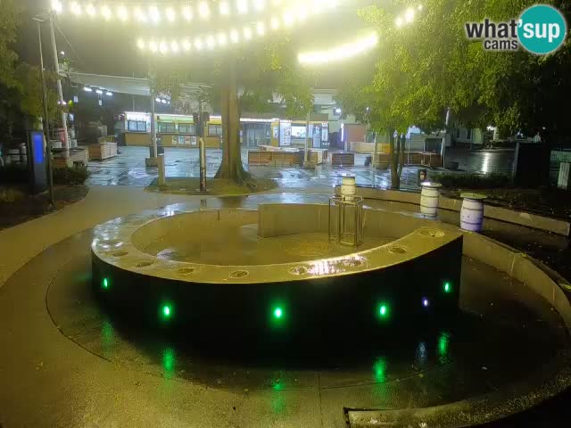 Fontana di birra Webcam – Oro verde – Žalec