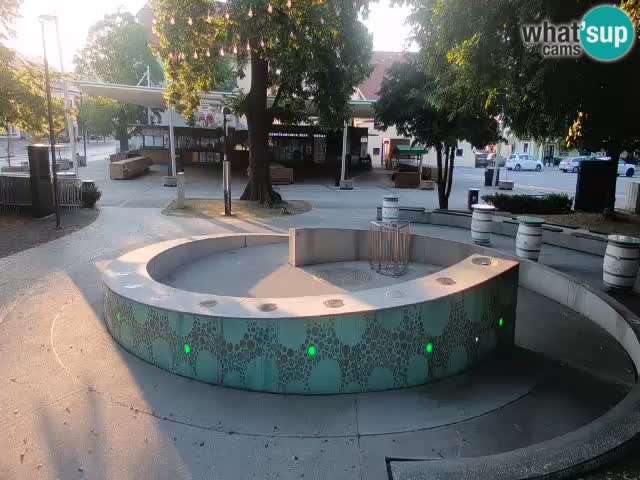 Bier-Springbrunnen Webcam Žalec – Grünen Goldes