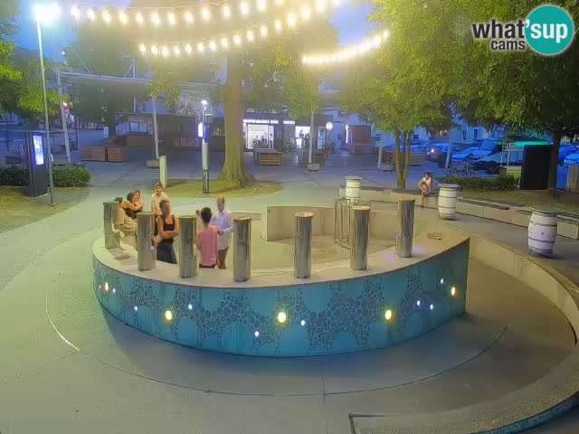 Camera en vivo Fuente de cerveza – Oro verde – Žalec