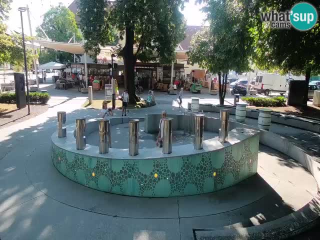 Fontana di birra Webcam – Oro verde – Žalec