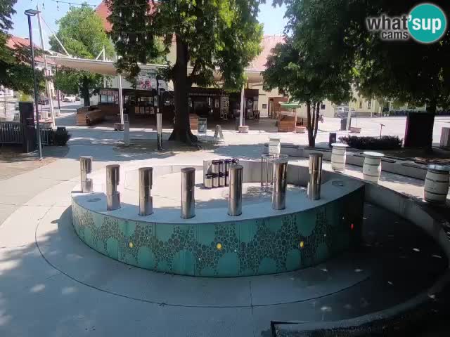 Bier-Springbrunnen Webcam Žalec – Grünen Goldes