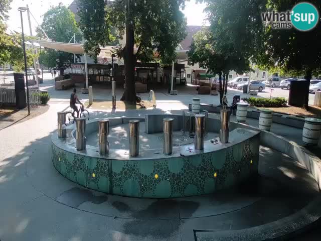 Bier-Springbrunnen Webcam Žalec – Grünen Goldes