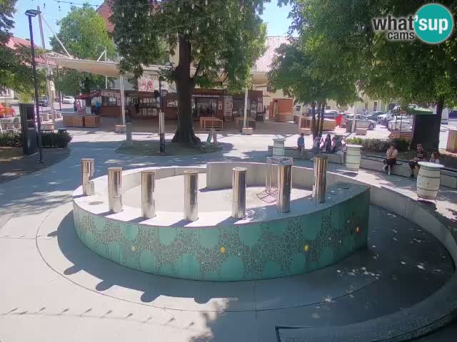 Bier-Springbrunnen Webcam Žalec – Grünen Goldes